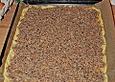 Spiegeleikuchen nach Uromas Rezept