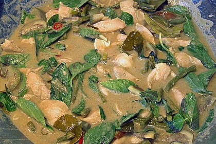 Gr&uuml;nes Thai - Curry 1