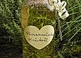Provenzalisches Kr&auml;uter&ouml;l
