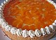 Schmand - Pudding - Mandarinen - Torte