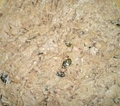 Rustikales Brot im Br&auml;ter (Bild)