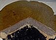 Mohnkuchen XVI