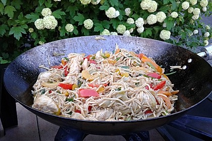 Asiatisches Wokragout 1