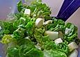Gr&uuml;ner Salat mit Mozzarella und Melone
