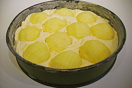 Apfelkuchen 1