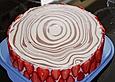 Erdbeer - Kakao - Sch&ouml;pfertorte