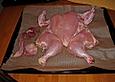 Schmetterlingsh&auml;hnchen