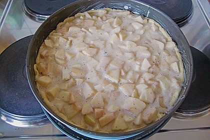 Apfelkuchen mit Rahm - Nuss - Guss 1