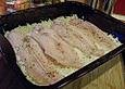 Pangasius im Reisbett