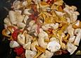 Pilzragout