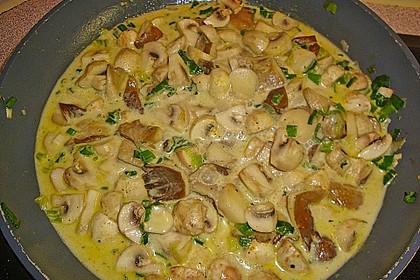Pilzragout 4