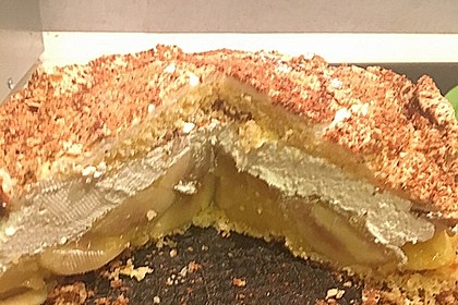 Apfel - Schneemus - Torte 5