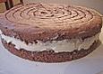 Schoko - Orangen Torte