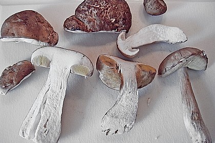 Hackmedaillons in pikanter Pilzsauce 11