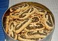 Mohnstrudel - Pl&auml;tzchen