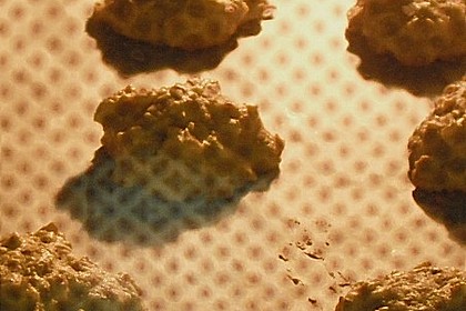Haferflocken - Kokos - Cookies 1