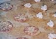 Haferflocken - Kokos - Cookies