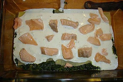 Lachs - Lasagne 9