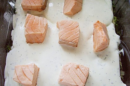 Lachs - Lasagne 13