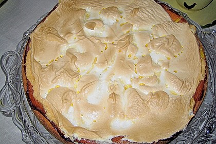 Fruchtig - frische Tr&auml;nchentorte 1