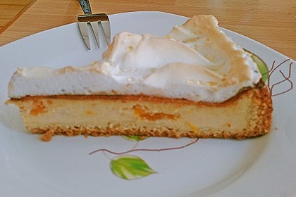 Fruchtig - frische Tr&auml;nchentorte 21