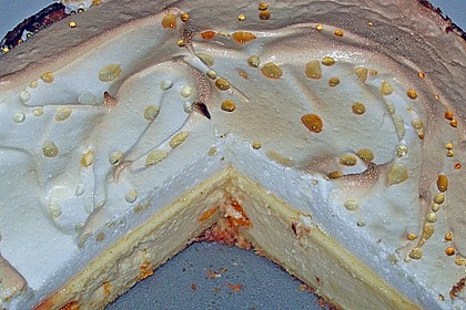 Fruchtig - frische Tr&auml;nchentorte 6