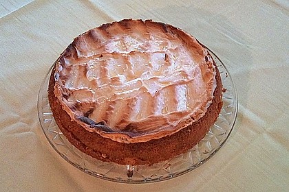 Fruchtig - frische Tr&auml;nchentorte 22