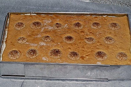 Biskuit - Schnitten 21