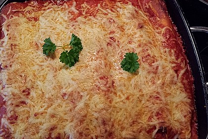 Enchiladas de Queso 15