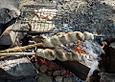 Stockbrot