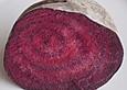 Rote Bete in Joghurt und saurer Sahne