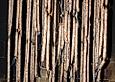 Mettw&uuml;rstchen Hochw&auml;lder Art