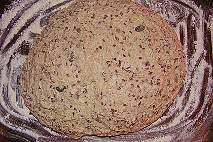 K&ouml;rnerbr&ouml;tchen nach Paniniart 47