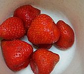 Erdbeer - Schoko - Vanille - Dessert (Bild)