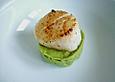 Jakobsmuschel auf Avocadocreme