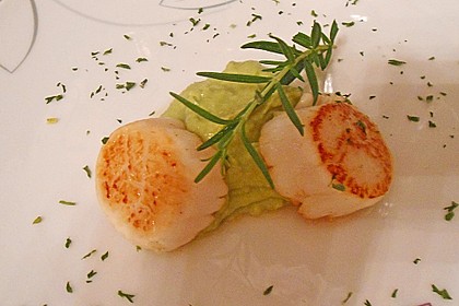 Jakobsmuschel auf Avocadocreme 5