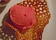 Blutorangensorbet