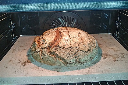 Bauernbrot 218