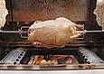 Gegrillte Gans