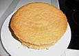 Sponge Cake