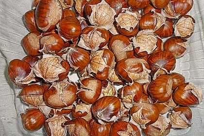 Ger&ouml;stete Maronen
