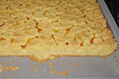 Pudding - Streuselkuchen 1
