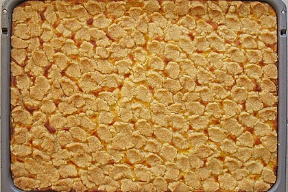 Pudding - Streuselkuchen 2