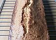 Sandkuchen