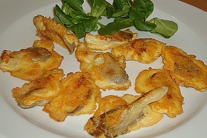 Gebratene Austernpilze in K&auml;se - Ei - H&uuml;lle