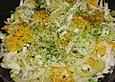 Salat vom Fenchel, Chicoree und Orange