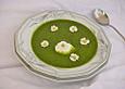 Brennnessel - Giersch Cremesuppe