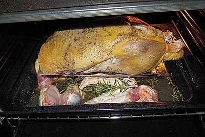 Ente 1