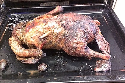Ente 5