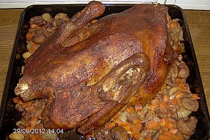Gef&uuml;llte Ente 2